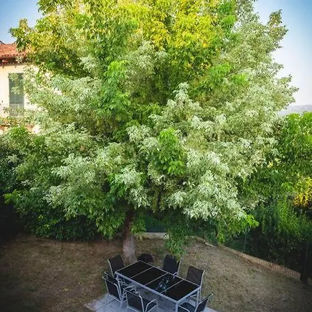 Luxury Experience In Alba: Unesco Hills' Hearth *